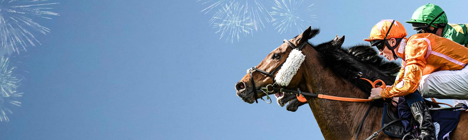 New Year's Day Raceday at Newcastle Racecourse