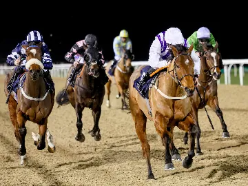 December 5th- Saturday evening, floodlit racing, all weather track 