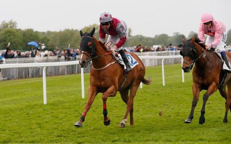 Two horses charging toward the finish