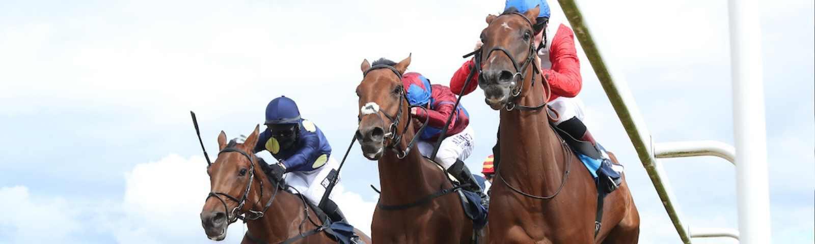 Horse in cross the finish line at Newcastle Racecourse