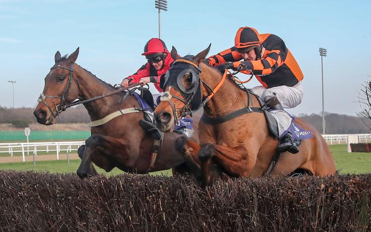 Eider Chase at Newcastle Racecourse