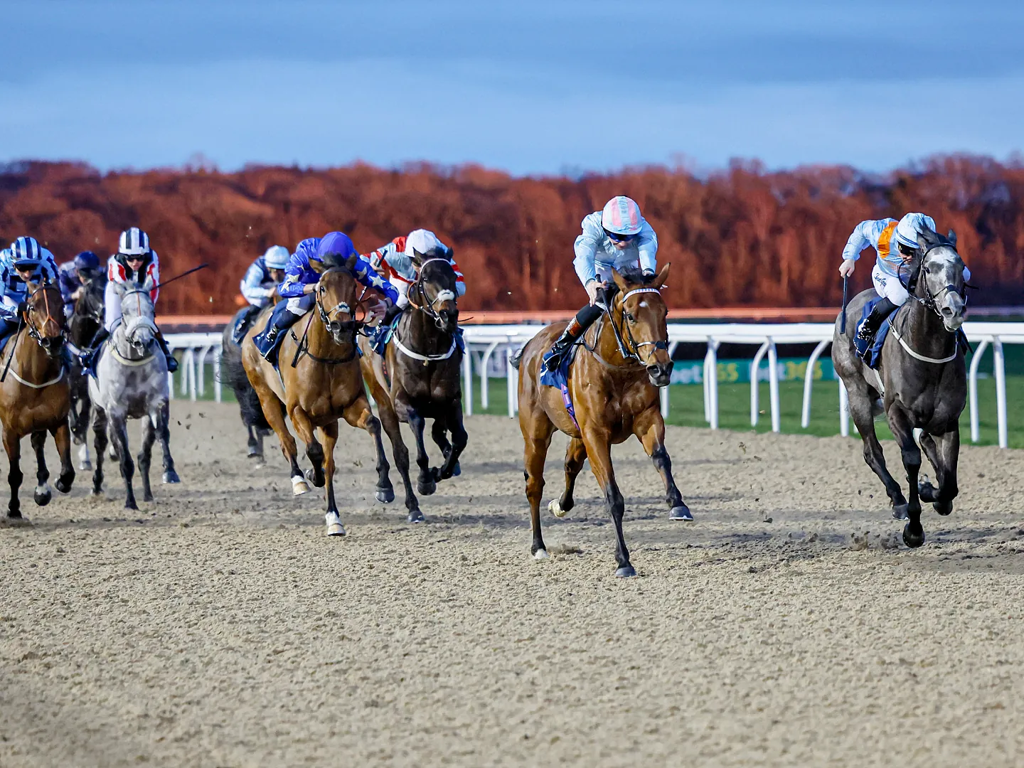 Evening Flat Racing