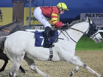 October 20th- evening flat racing, all weather