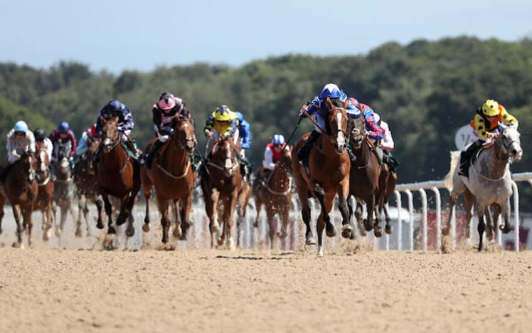 A field of horses running towards the camera