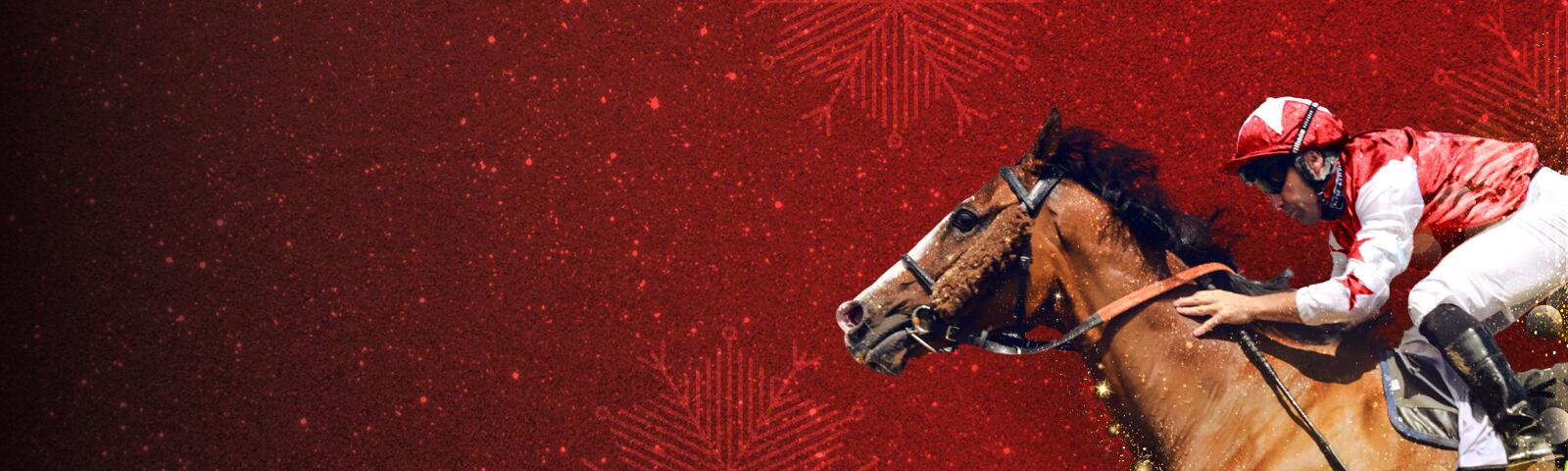 Festive fixtures at Newcastle Racecourse