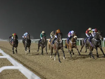November 19th- Thursday evening, floodlit, all weather track