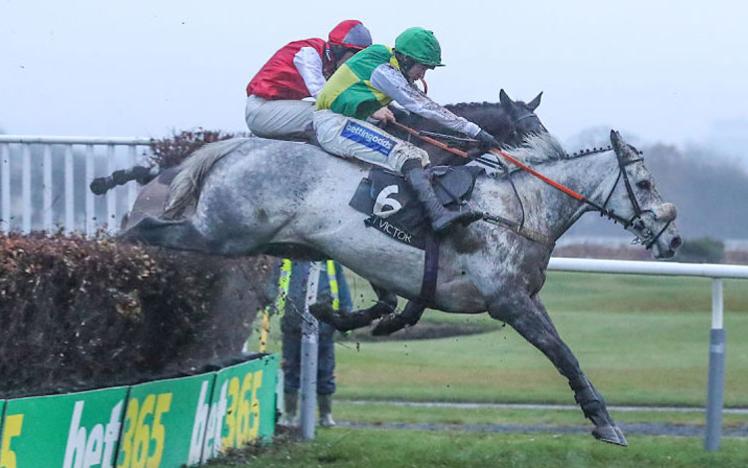 Two horses jumping a fence at Newcastle Racecourse