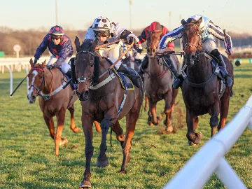 February 8th- Sunday afternoon, jumps racing on the turf