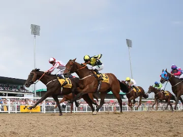 April 3rd- all weather championship finals