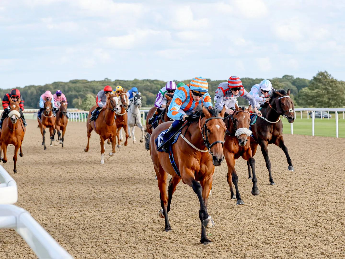 Afternoon Flat Racing