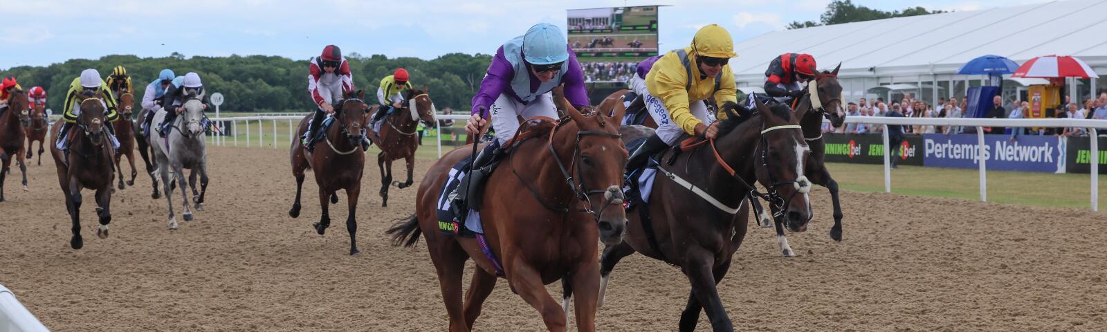 Spirit Mixer winning the Jenningsbet Northumberland Plate at Newcastle Racecourse