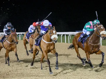 December 30th- Wednesday afternoon, flat floodlit racing, all weather track