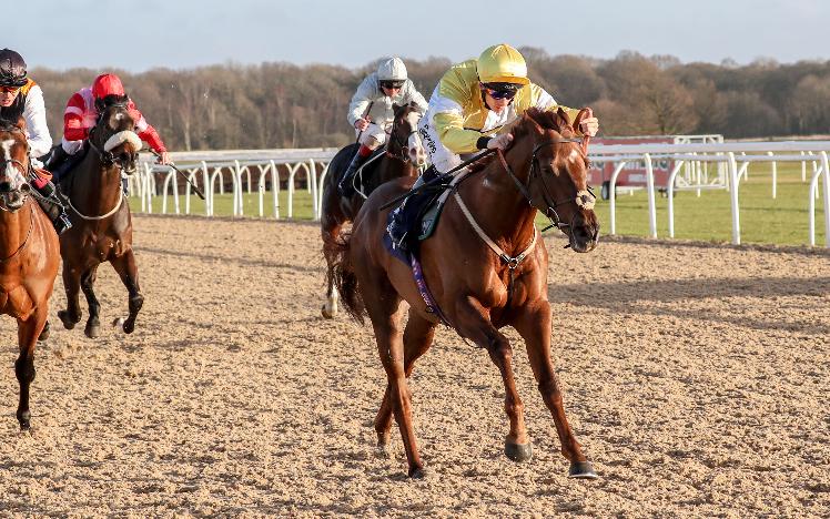 Corinthia Knight at Newcastle Racecourse