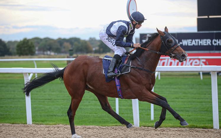 Temple Of Heaven wins for Richard Hannon and Sean Levey