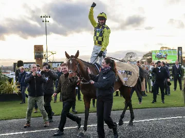 November 28th- Saturday afternoon, jumps racing, turf, Fighting Fifth 