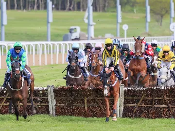 October 27th- afternoon, jumps racing, horses 