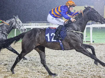 November 23rd- Monday night racing, floodlit, all weather track
