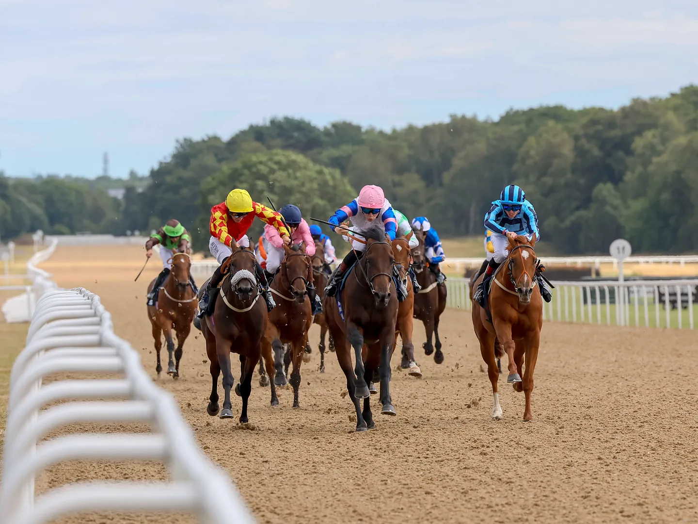 Flat Racing