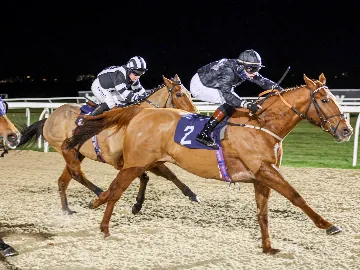 November 21st- Saturday evening, floodlit, all weather track