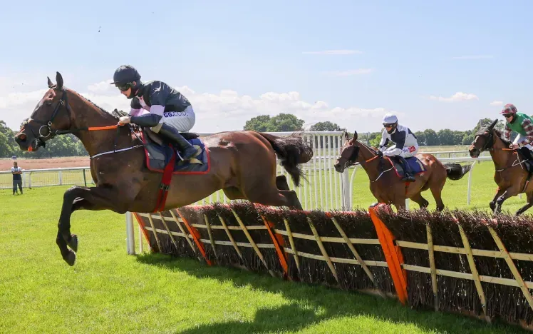 Horses taking on a jump in the sunshine at Newcastle Racecourse