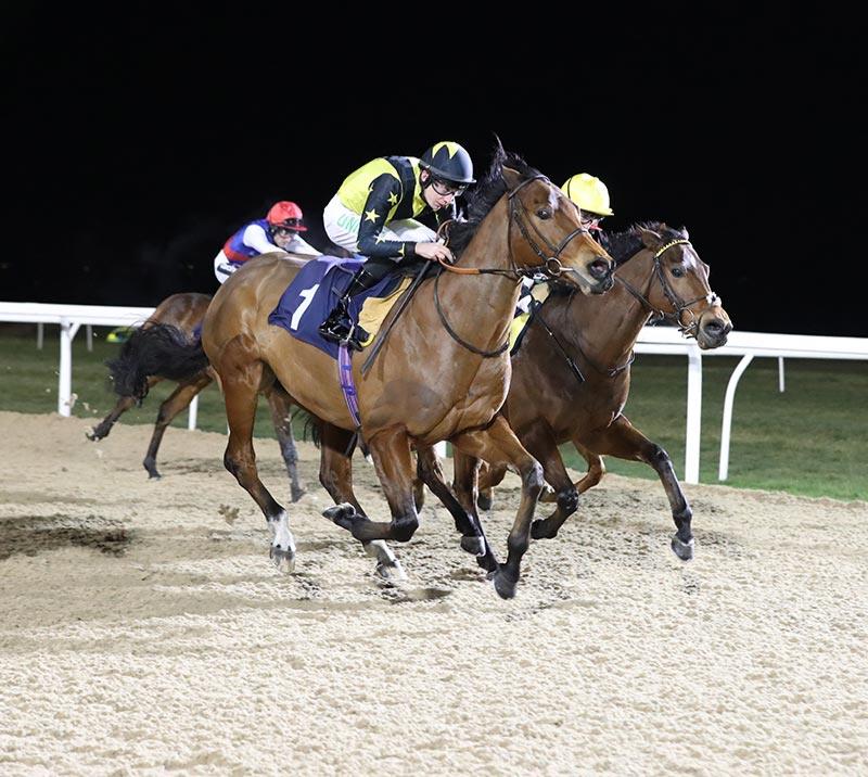 Busiest Racecourses In Uk