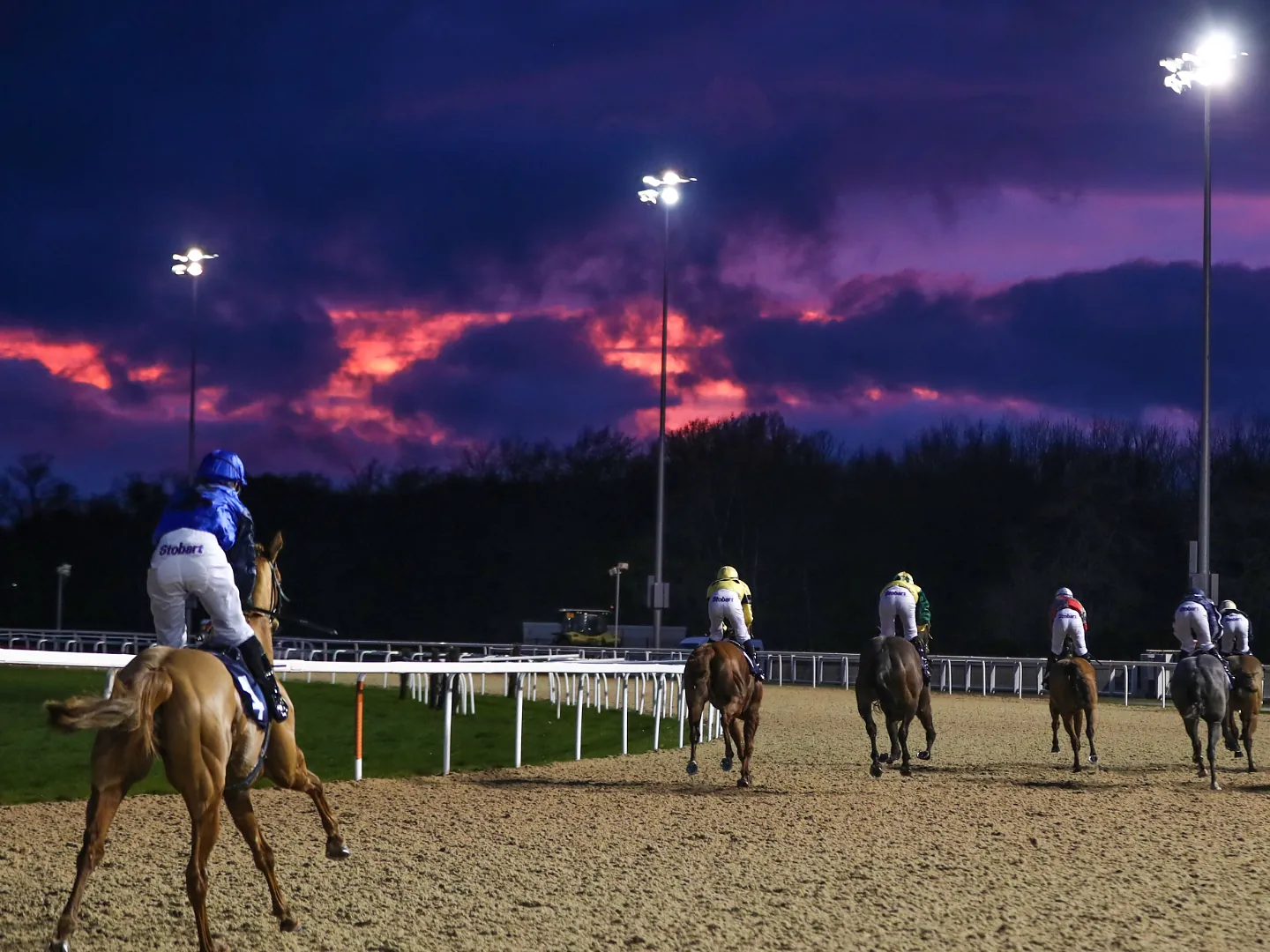 Floodlit Flat