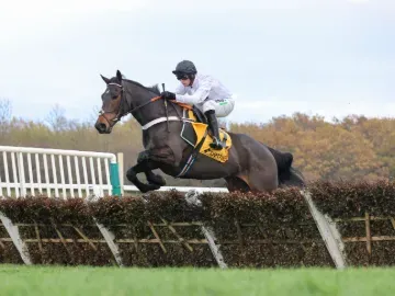 Constitution Hill at Newcastle