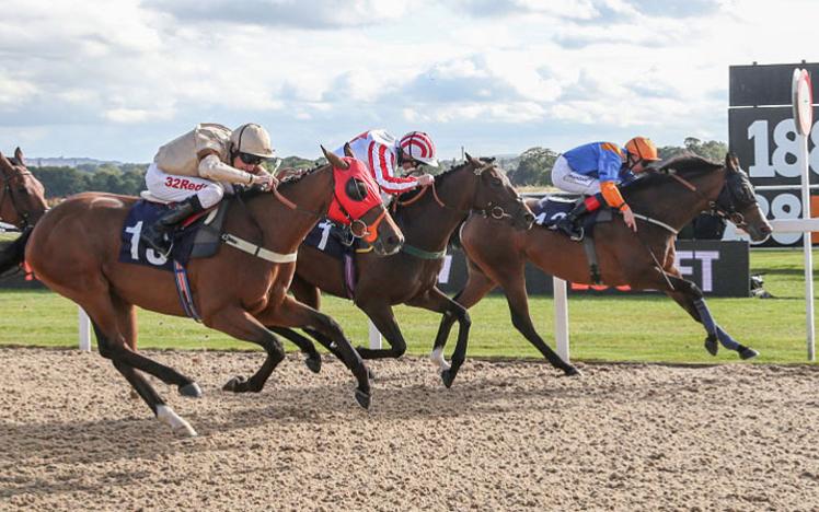 Three horses charging past the finishing post