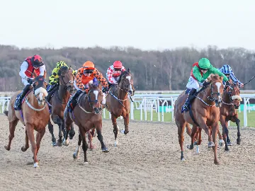 February 24th- Tuesday afternoon, flat racing, all weather track