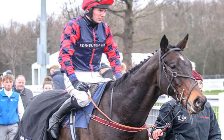 A horse and jockey being led by a handler