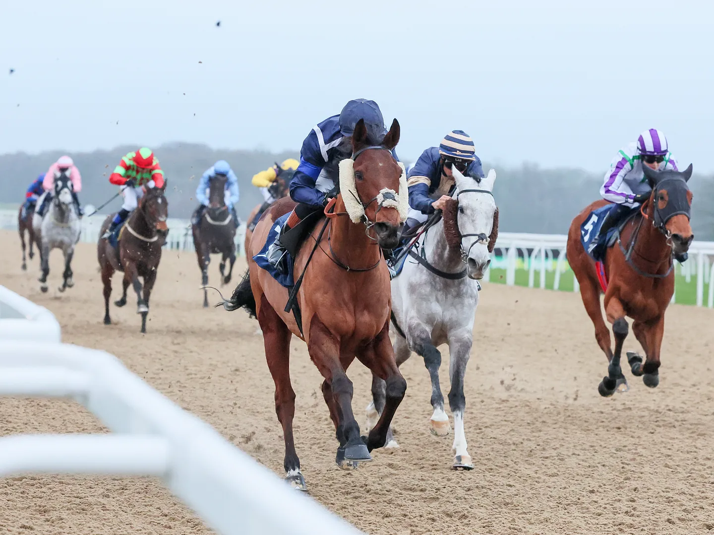 Flat Racing