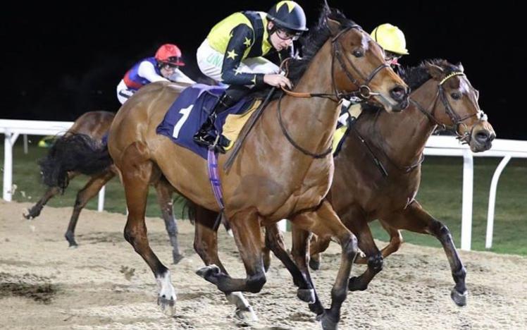 Three horses charging down a straight during an evening race.