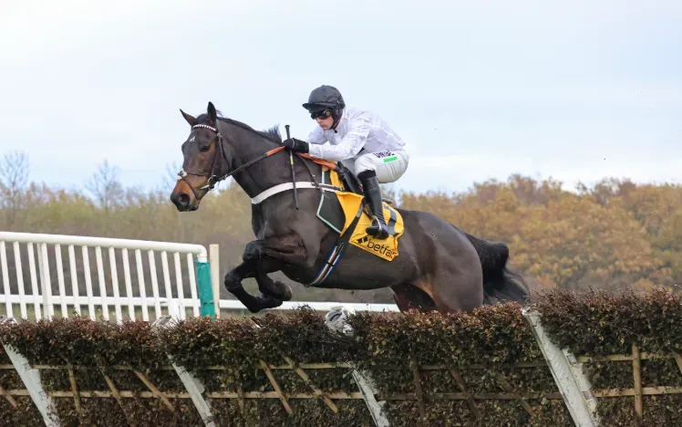 Constitution Hill at Newcastle