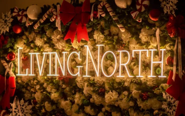 Living North Christmas Fair North East 2025