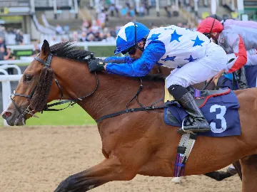 November 6th- Friday floodlit racing, all weather