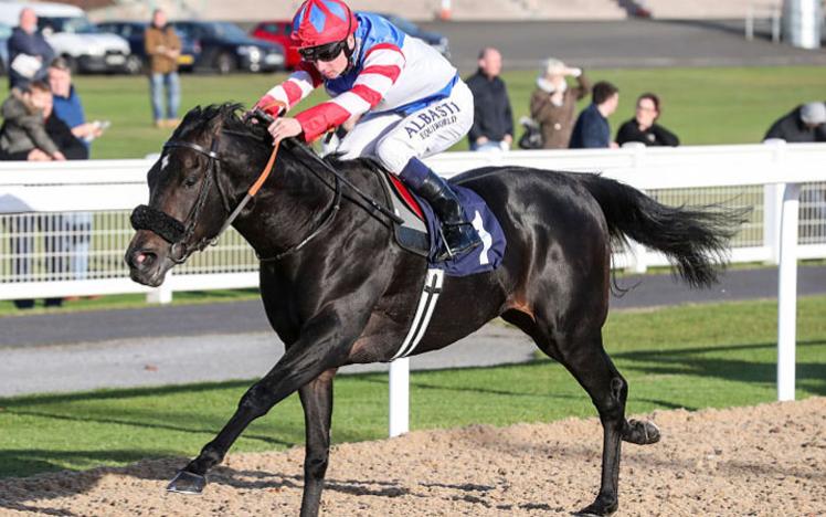 A horse and jockey running down a straight at Newcastle Racecourse.