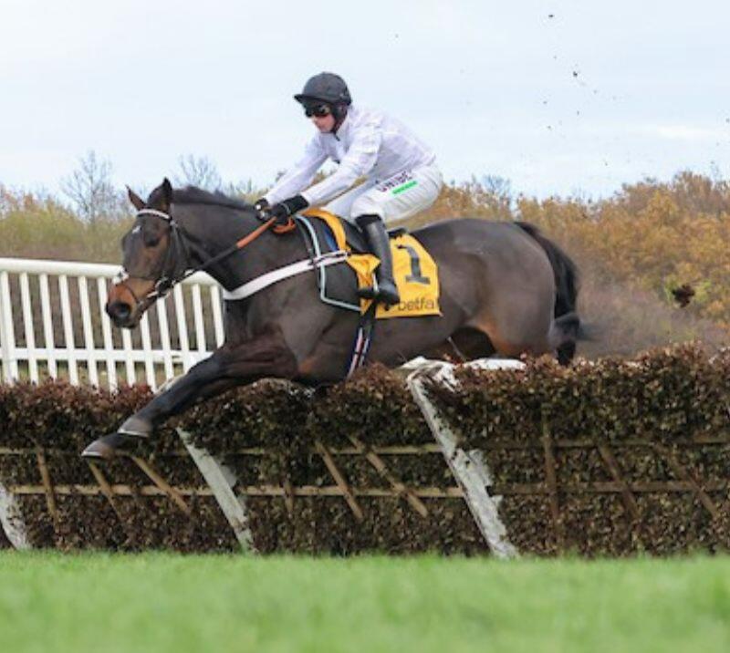 Fighting Fifth Racing Highlights Newcastle Racecourse