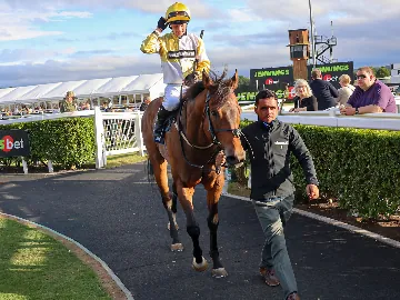 Paddy's Day entering the parade ring after winning the Gosforth Park Cup