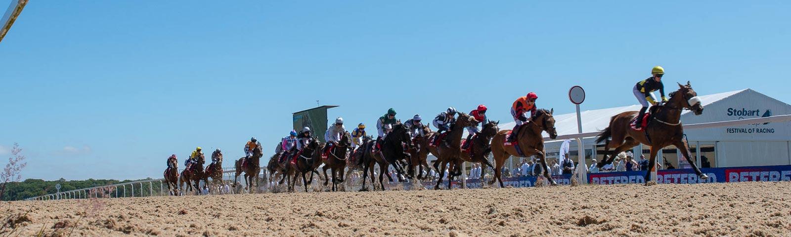 Northumberland Plate Festival Newcastle Racecourse