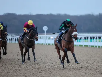 February 4th- Wednesday afternoon, flloolit