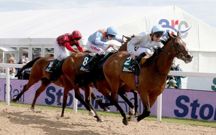 Three horses with jockeys charging down the straight at Newcastle