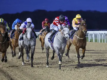 March 12th- Thursday floodlit flat racing, all weather track