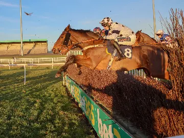 November 5th- Thursday afternoon, jumps racing
