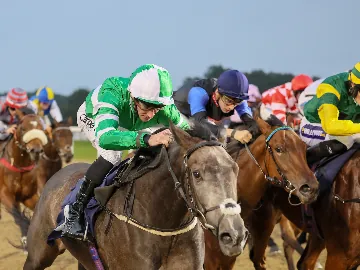 October 12th- floodlit racing, all weather