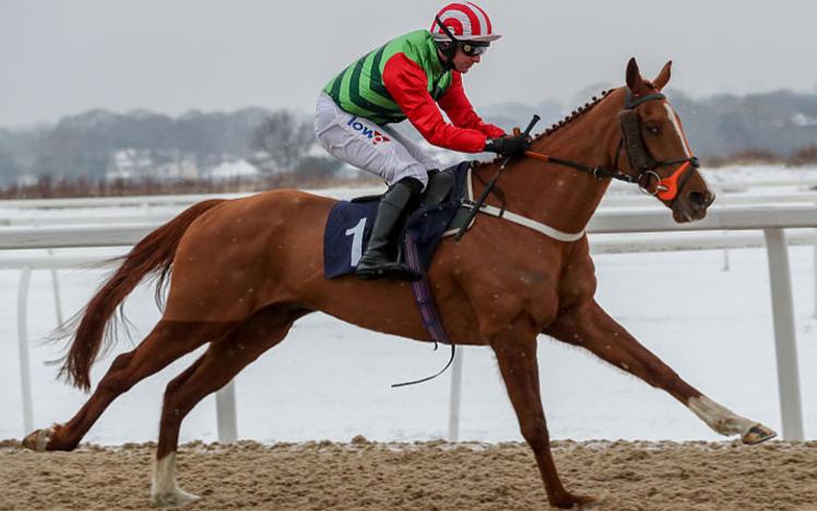 A horse with jockey running across an all weather track