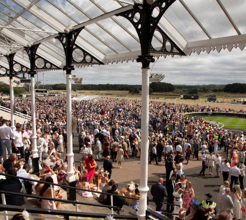 A view from under the grandstand at Newcastle Racecourse