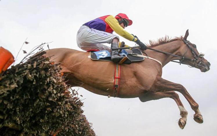 A horse with jockey jumping a fence