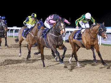 September 25th- Floodlit 