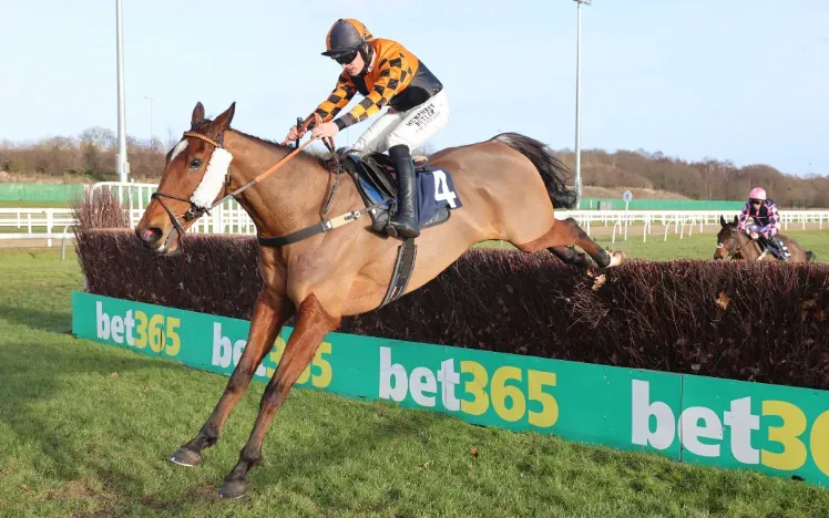 A horse taking on a jump on the jump track at Newcastle