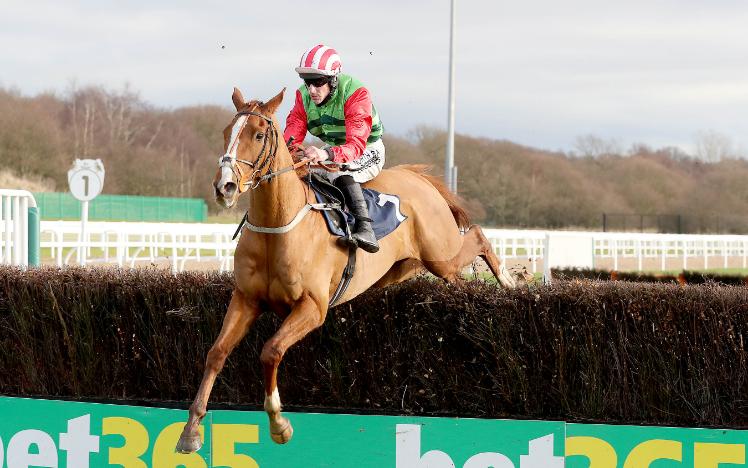 Forest Bihan at Newcastle Racecourse, trained by Malton trainer Brian Ellison